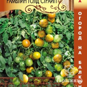 Семена  Томат F1 ампельный Рамблин Голд Страйп  8 шт Плазменные семена