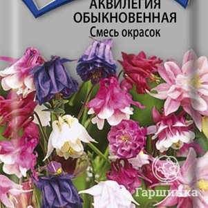 Семена Аквилегия обыкновенная Смесь окрасок 0,2