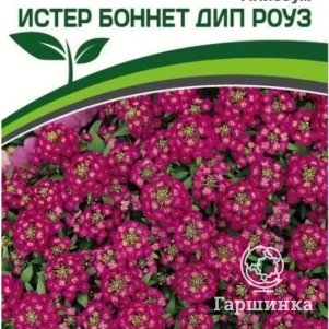 Семена Алиссум морской Истер Боннет Дип Роуз 0,01 гр. Партнер