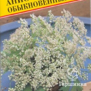 Семена Анис обыкновенный 0,5гр, Престиж