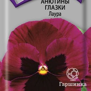 Семена Анютины глазки Лаура 0,2, Поиск