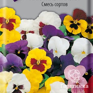 Семена Анютины глазки Смесь сортов 0,2