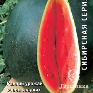 Семена Арбуз Сибирские огни 15