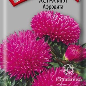 Семена Астра игл Афродита 0,3