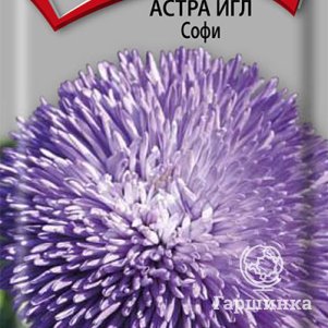 Семена Астра игл Софи 0,3