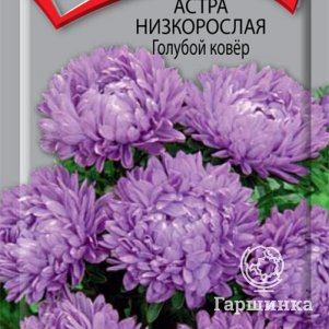 Семена Астра низкорослая Голубой ковер 0,2