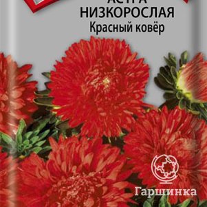 Семена Астра низкорослая Красный ковер 0,2