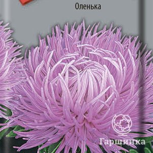 Семена Астра Оленька 0,3