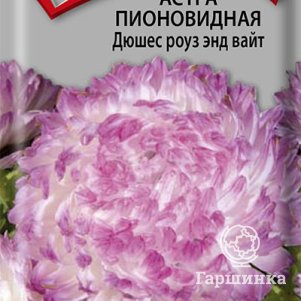 Семена Астра пионовидная Дюшес роуз энд вайт 0,3