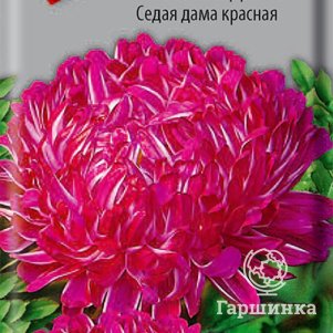 Семена Астра пионовидная Седая дама красная 0,3