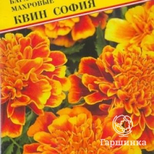 Семена Бархатцы Квин София 20 шт, Престиж