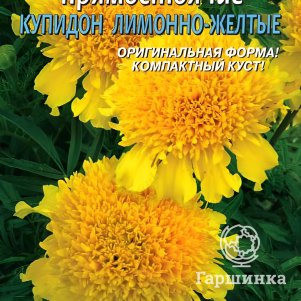 Семена Бархатцы прямостоячие Купидон Лимонно-желтый 20шт, Плазменные семена