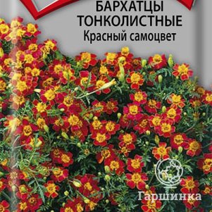 Семена Бархатцы тонколистные Красный самоцвет 0,1