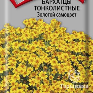 Семена Бархатцы тонколистные Золотой самоцвет 0,1