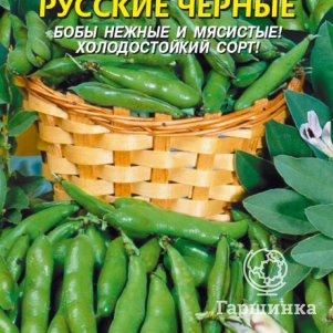 Семена Бобы Русские чёрные 6 шт, Плазменные семена