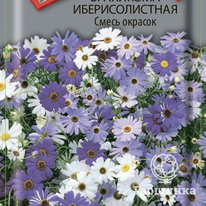 Семена Брахикома иберисолистная Смесь окрасок 0,03