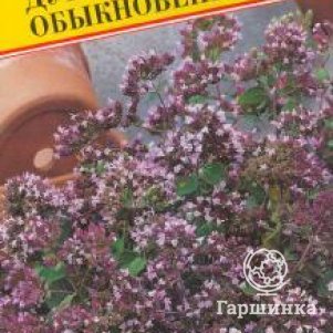 Семена Душица обыкновенная 0,1гр, Престиж