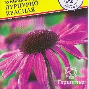 Семена Эхинацея пурпурная Пурпурно красная 20 шт Престиж