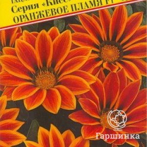 Семена Гацания Кисс F1 Оранжевое пламя 5 шт, Престиж