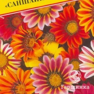 Семена Гацания Саншайн 10 шт, Престиж