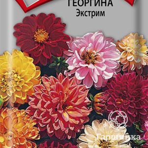 Семена Георгина Экстрим 0,2