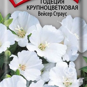 Семена Годеция крупноцветковая Вейсер Страус 0,2