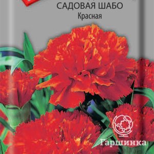 Семена Гвоздика садовая Шабо Красная 0,1