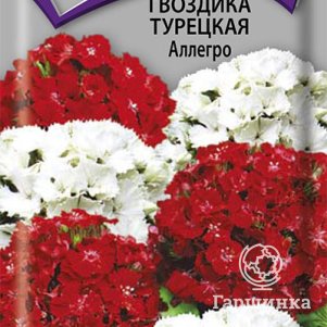 Семена Гвоздика Турецкая Аллегро 0,3