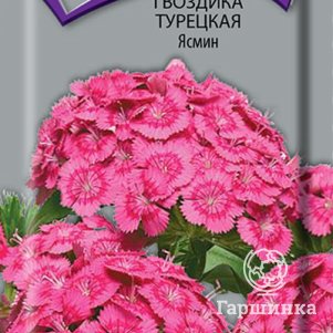 Семена Гвоздика Турецкая Ясмин 0,3