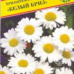 Семена Хризантема  наибольшая Белый бриз 10 шт, Престиж