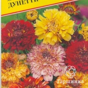 Семена Хризантема Дунетти 0,5 гр, Престиж