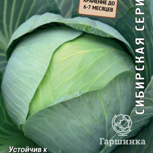 Семена Капуста белокочанная Вьюга 0,5, Поиск