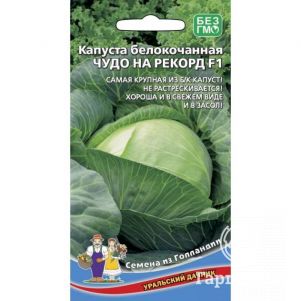 Семена Капуста Чудо на рекорд  ЦП 0,3гр