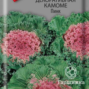 Семена Капуста декоративная Камоме Пинк 10, Поиск