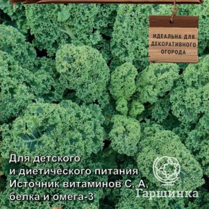 Семена Капуста листовая Зеленое кружево (А) 0,1