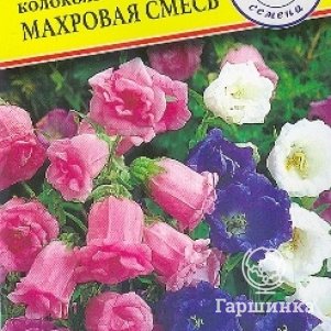 Семена Колокольчик средний Махровая смесь 0,1 гр, Престиж