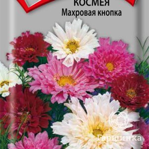 Семена Космея Махровая кнопка 0,1