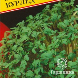 Семена Кресс-салат Курлед 0,5 гр, Престиж