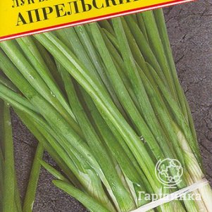 Семена Лук батун Апрельский 0,5 гр, Престиж