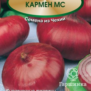 Семена Лук репчатый Кармен МС 1