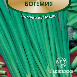 Семена Лук шнитт Богемия 0,5