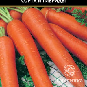 Семена Морковь Берликум Роял (А) 2, Поиск