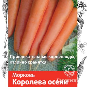 Семена Морковь Королева осени 2