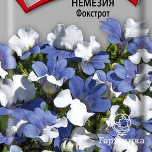 Семена Немезия Фокстрот 0,05