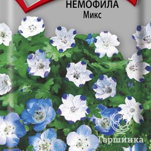 Семена Немофила Микс 0,1