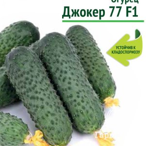 Семена Огурец Джокер 77 F1 (А) 12