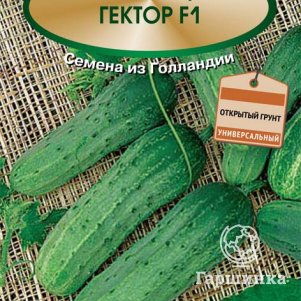 Семена Огурец Гектор F1 10