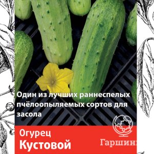 Семена Огурец Кустовой (А) 0,5