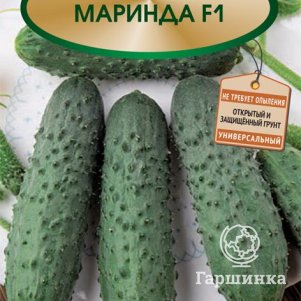 Семена Огурец Маринда F1 12