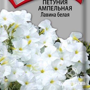 Семена Петуния ампельная Лавина белая 10